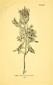 n306_w1150