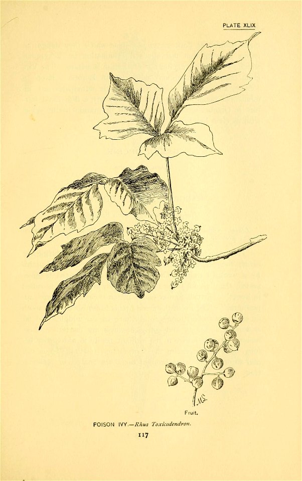 n184_w1150