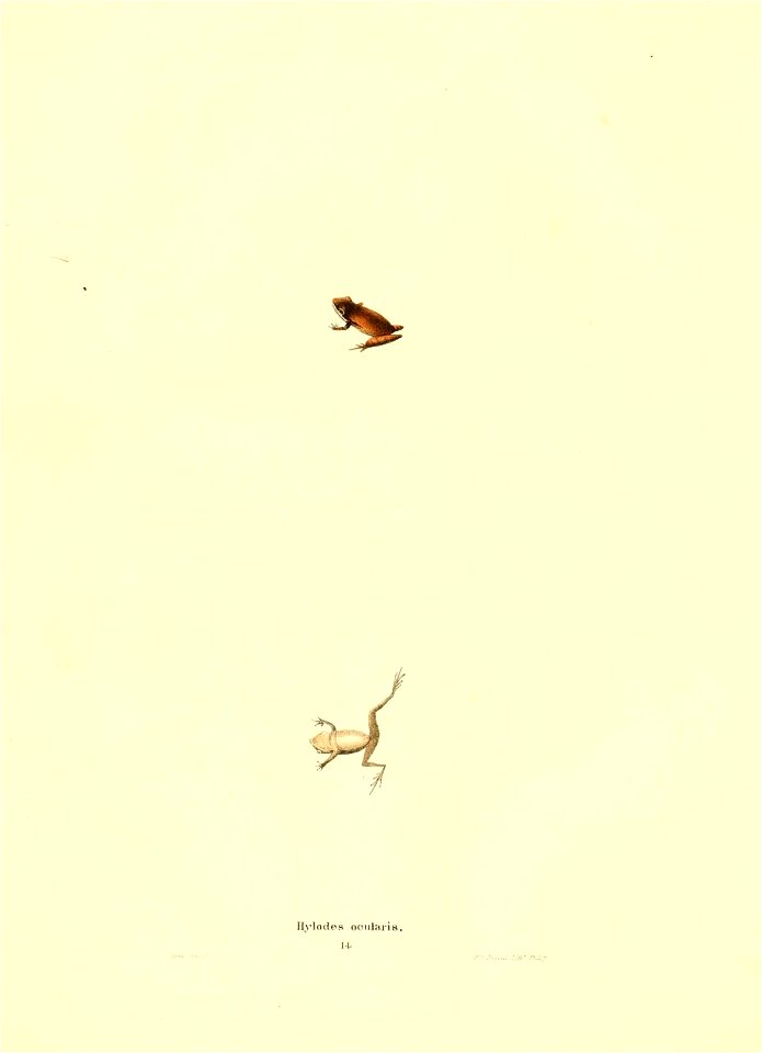 n109_w1150