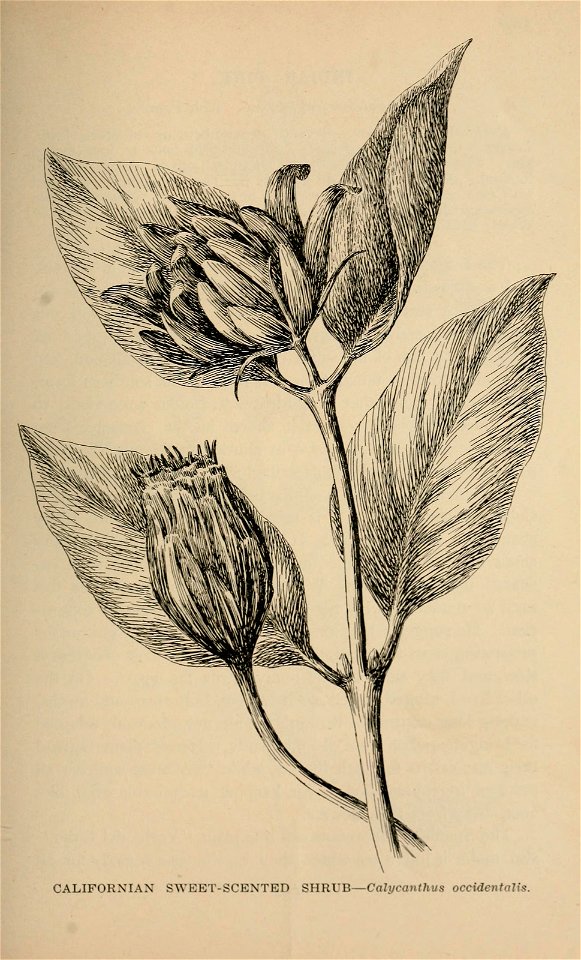 n408_w1150