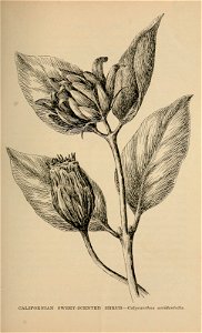 n408_w1150