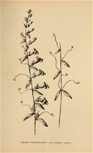 n376_w1150