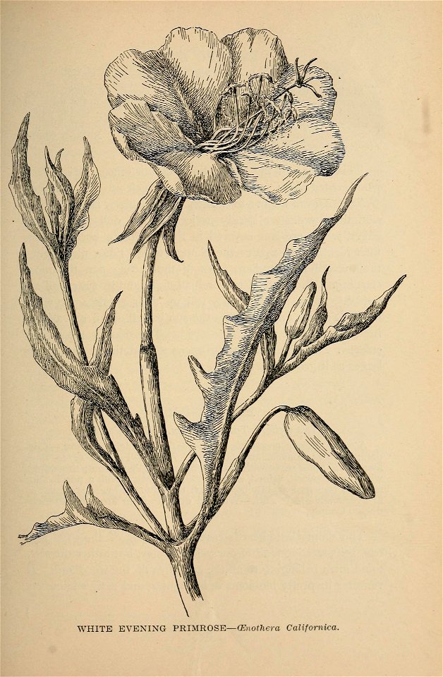 n104_w1150