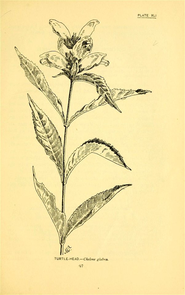 n160_w1150