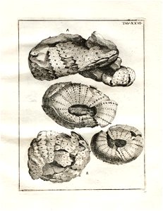 n122_w1150