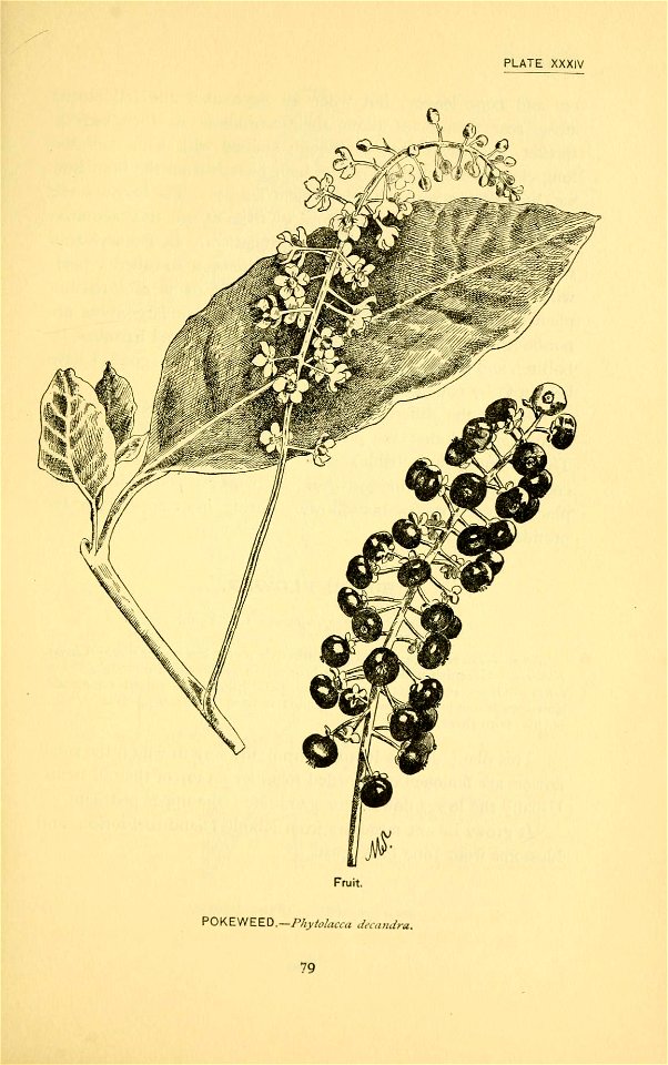 n140_w1150
