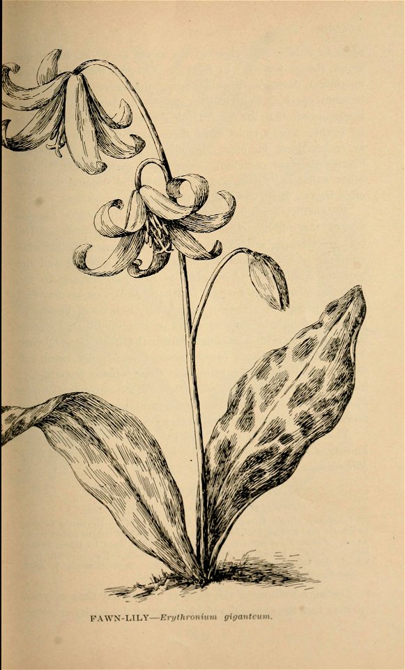 n192_w1150