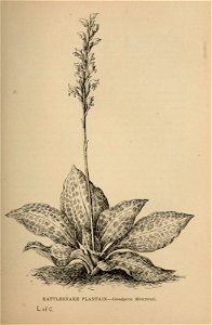 n154_w1150