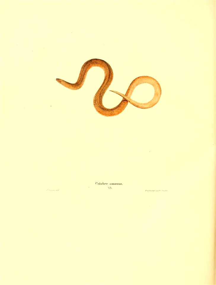 n161_w1150