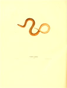 n161_w1150