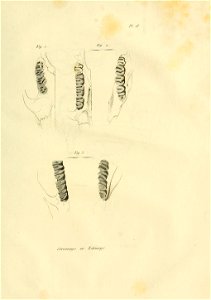 n506_w1150