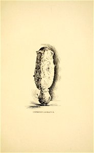 n114_w1150