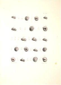 n400_w1150