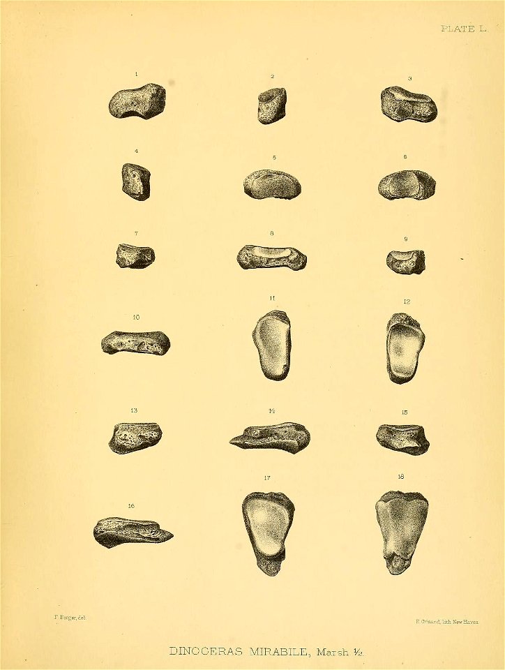 n466_w1150