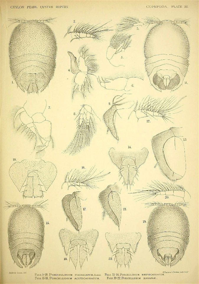 n114_w1150