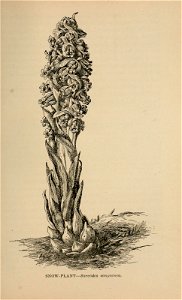 n418_w1150