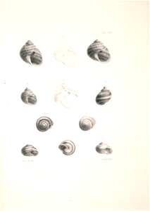 n352_w1150