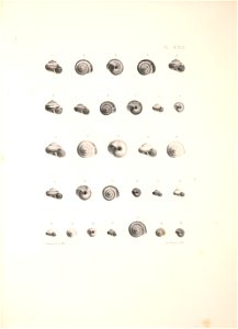n412_w1150