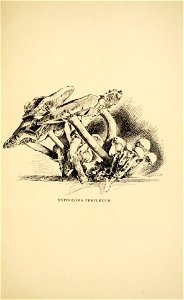 n108_w1150