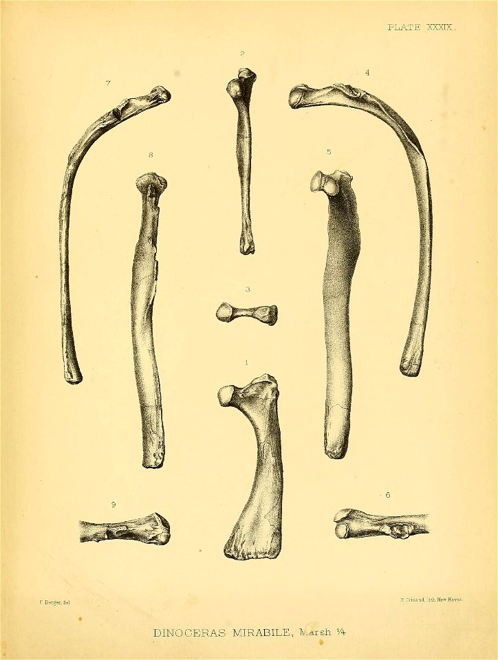 n422_w1150
