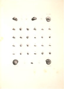 n404_w1150