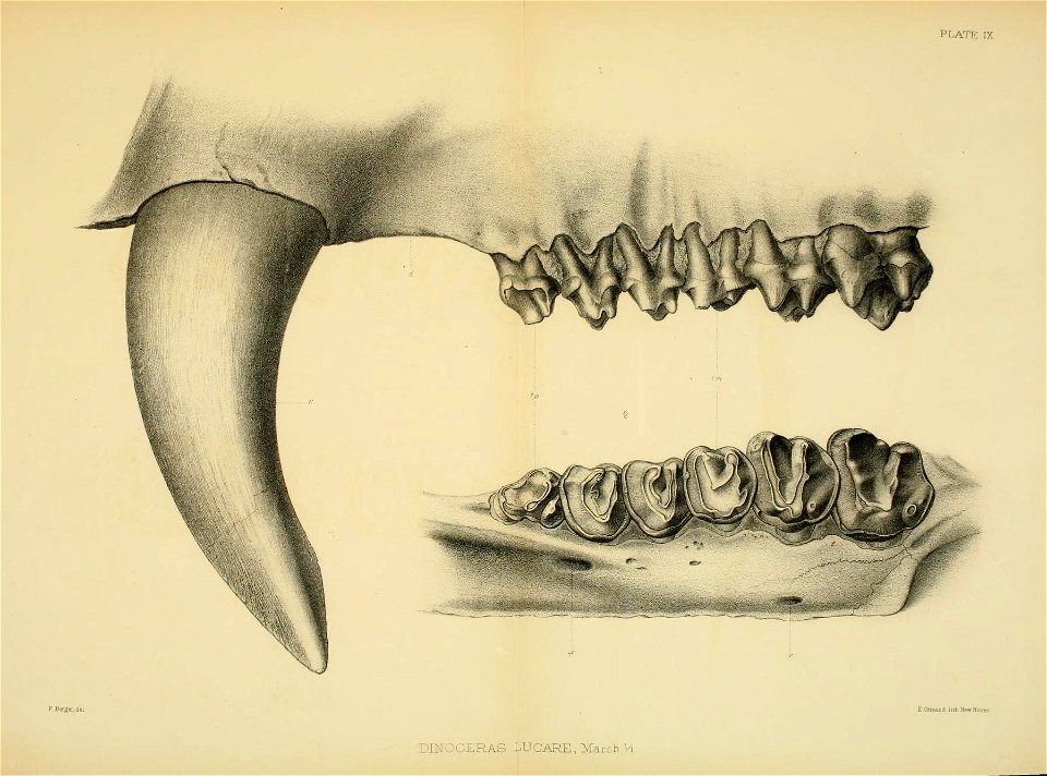n302_w1150