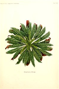 n418_w1150