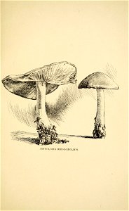 n84_w1150