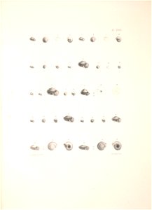 n392_w1150