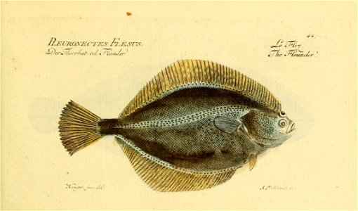 n88_w1150