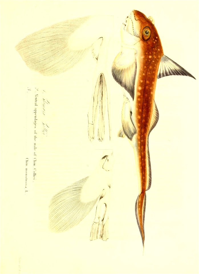 n138_w1150