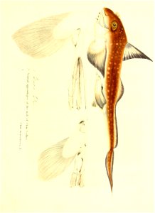 n138_w1150