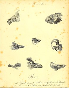 n516_w1150