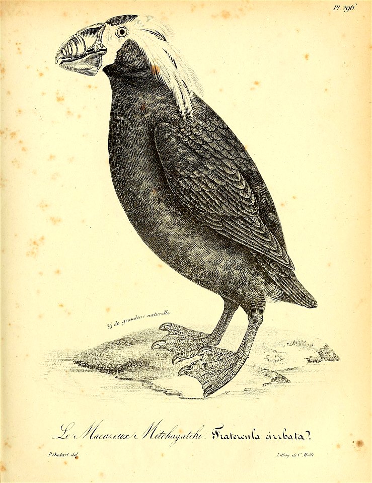 n456_w1150