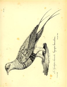 n308_w1150