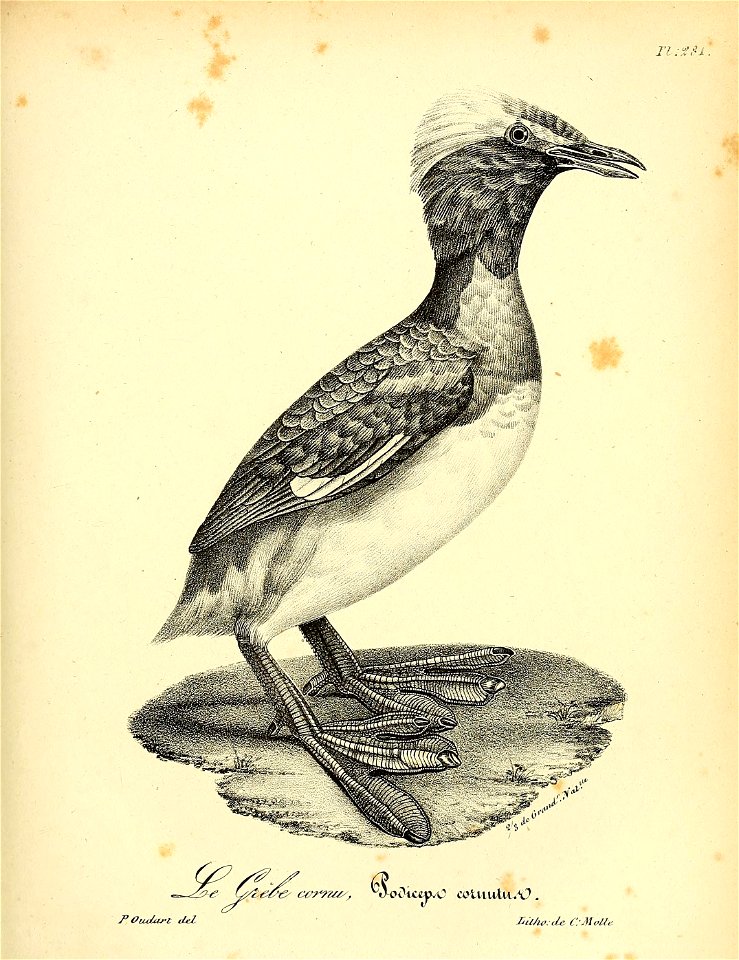 n426_w1150