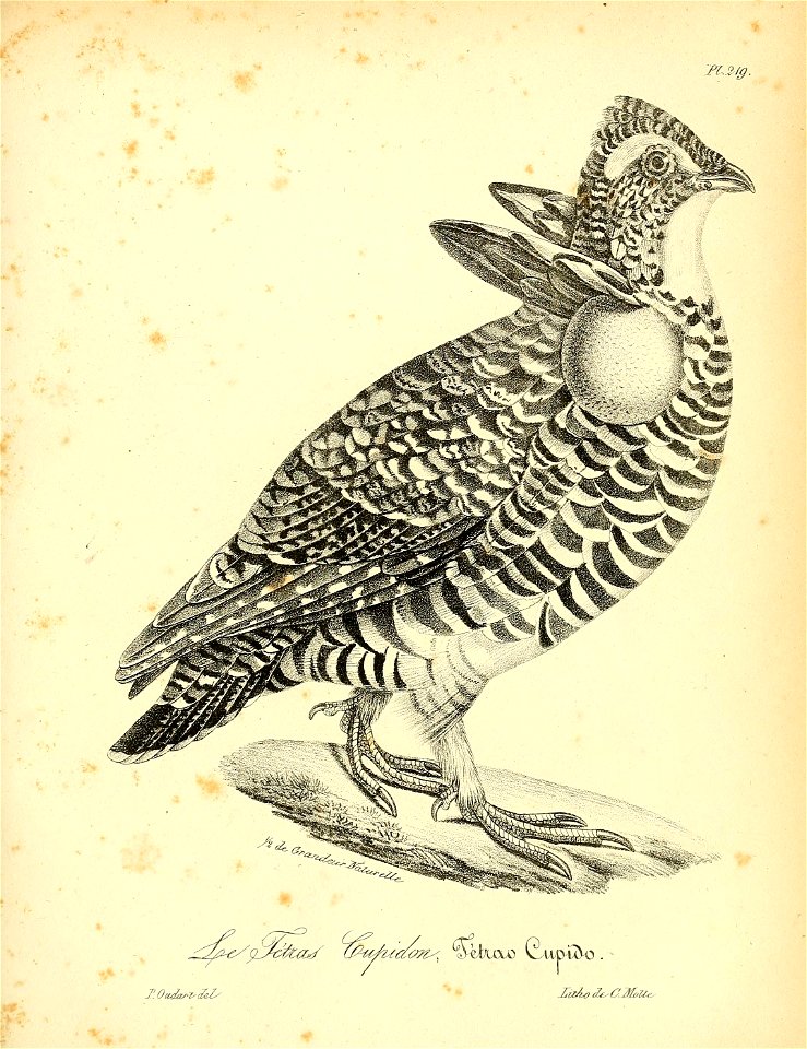 n302_w1150