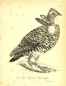 n302_w1150