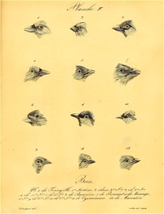 n478_w1150