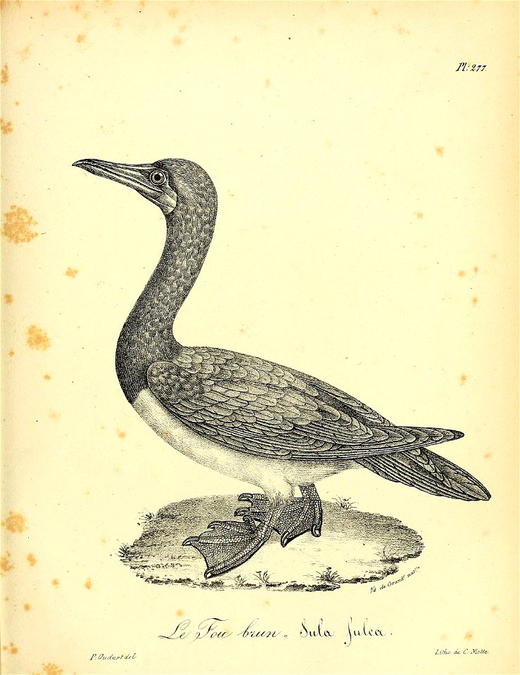 n418_w1150