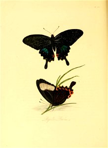 n107_w1150
