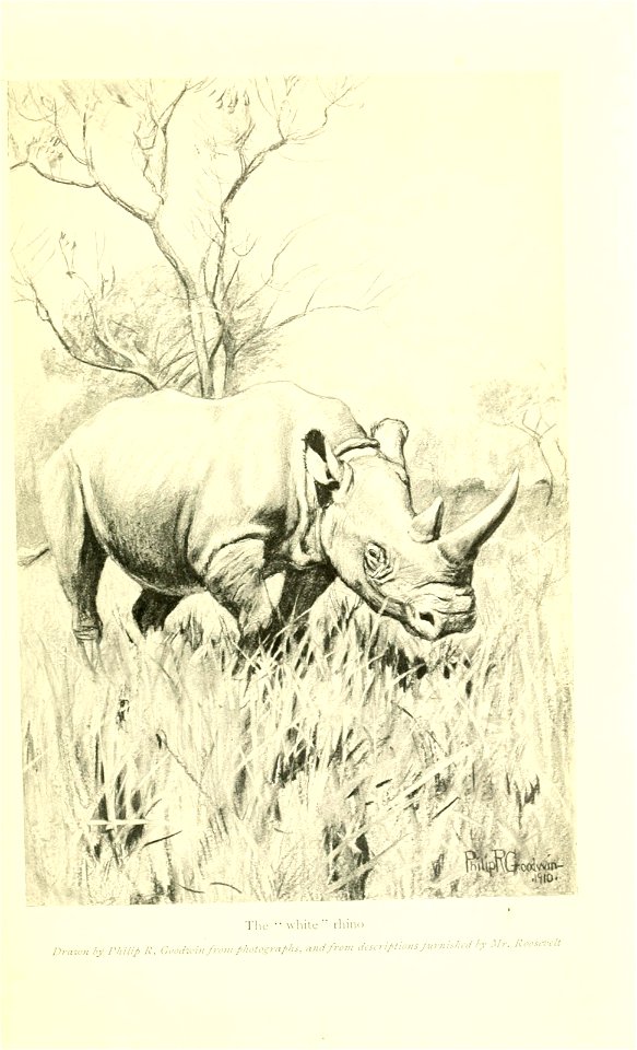 n504_w1150