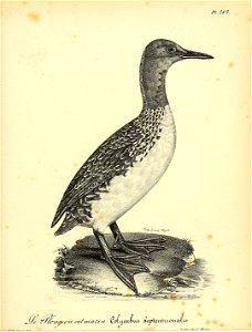 n428_w1150