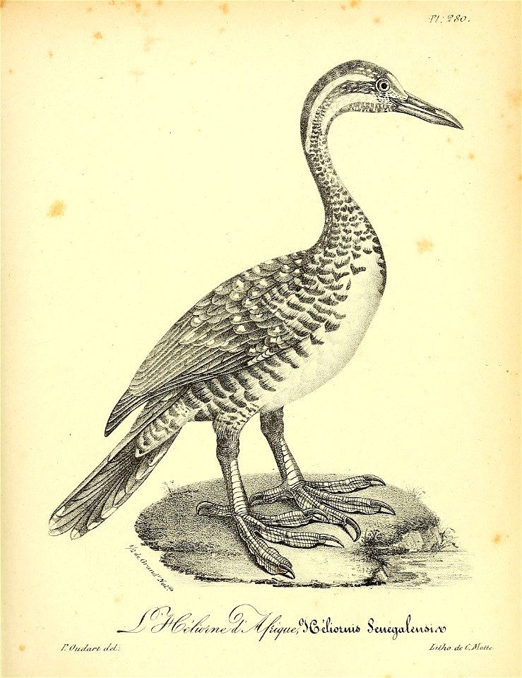 n424_w1150