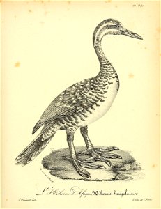 n424_w1150