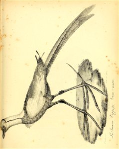 n394_w1150
