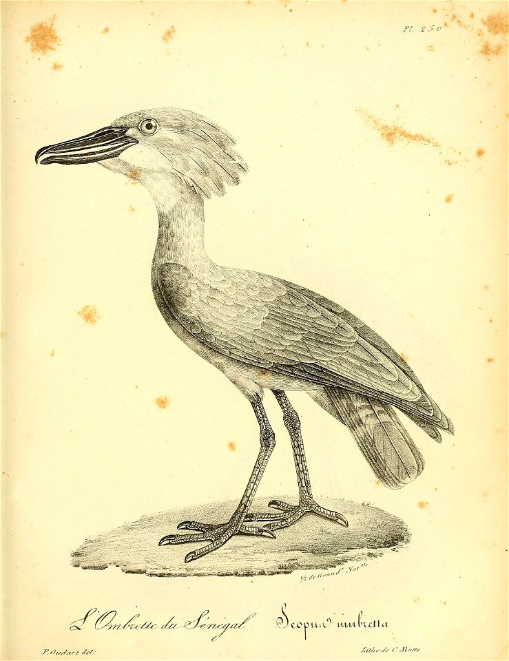 n364_w1150