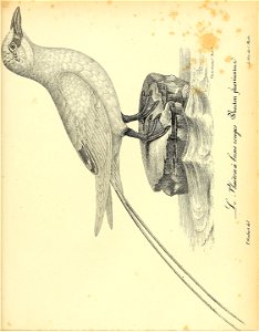 n422_w1150