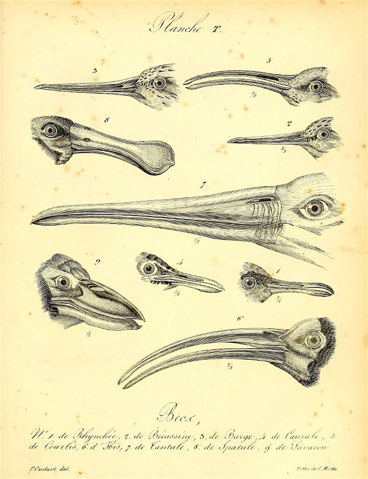 n506_w1150