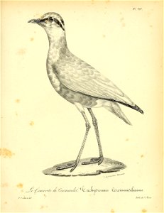 n328_w1150